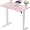 Height Adjustable Electric Standing Desk, 48 x 24 Inches Sit Stand up Desk