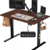 BEAUTY Electric Standing Desk 48 x 24, Height Adjustable 28-46