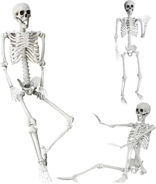 5.4Ft/165cm Halloween Skeleton Full Body Life Size Human Bones with Movable Joints for Indoor Outdoor Halloween Props Decorations