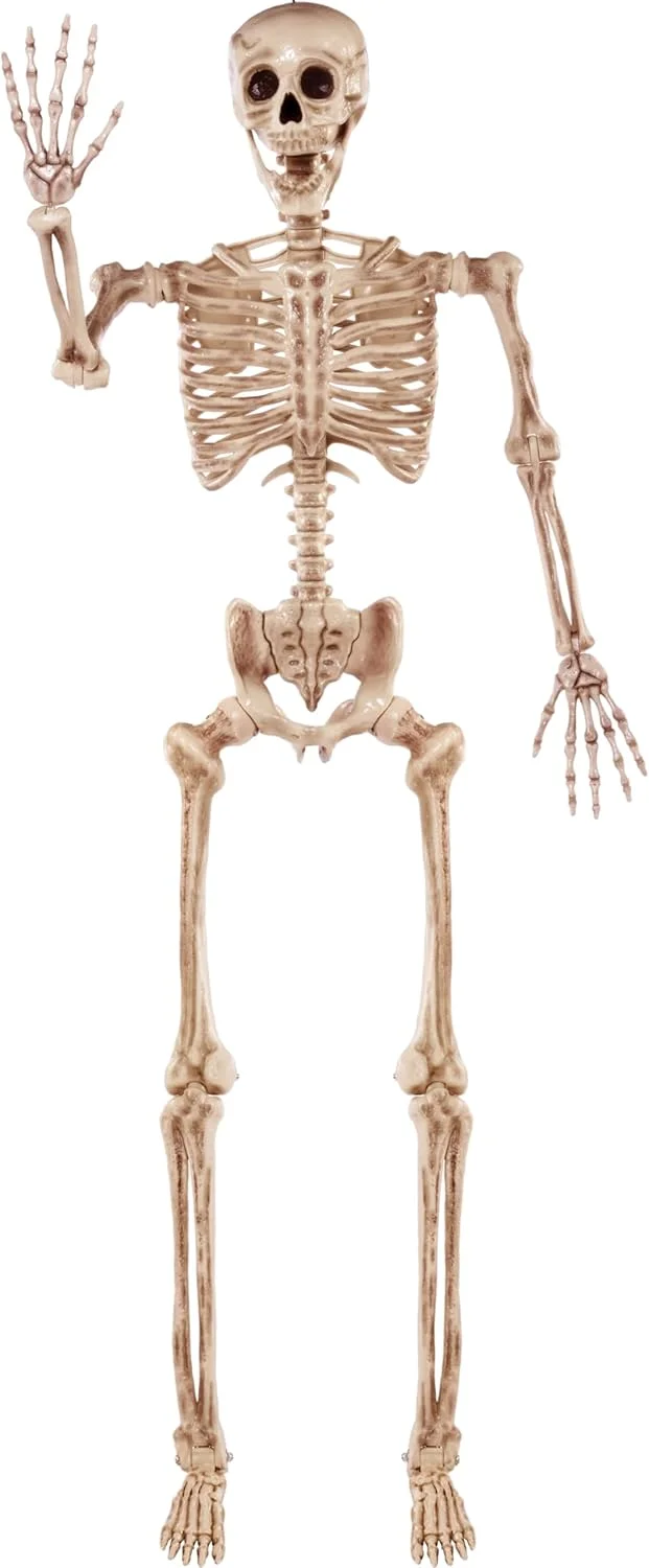 5.6 FT Halloween Posable Life Size Skeleton, Full Body Realistic Bones with Movable Joints, Giant Skeletons Halloween Decorations for Indoor Outdoor - Image 3