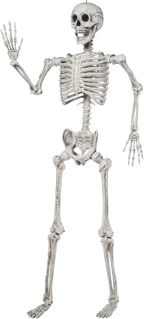 Alternative view of 5.6 FT Halloween Posable Life Size Skeleton, Full Body Realistic Bones with Movable Joints, Giant Skeletons Halloween Decorations for Indoor Outdoor
