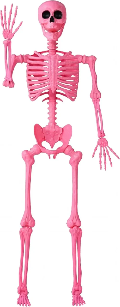 5.6 FT Halloween Posable Life Size Skeleton, Full Body Realistic Bones with Movable Joints, Giant Skeletons Halloween Decorations for Indoor Outdoor