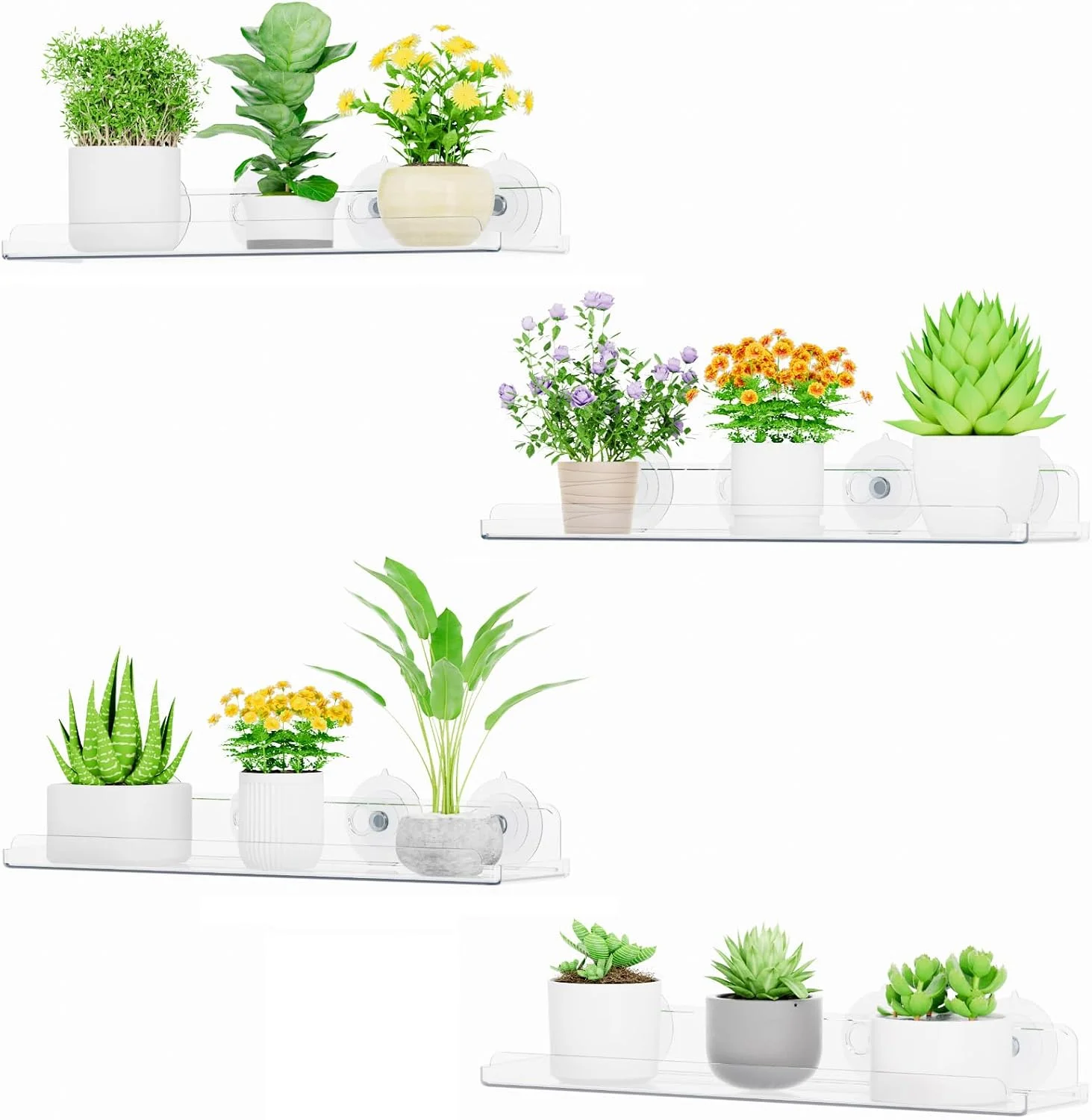Window Plant Shelves 14.6, 2 Pack Acrylic Suction Cup Holder - Image 3