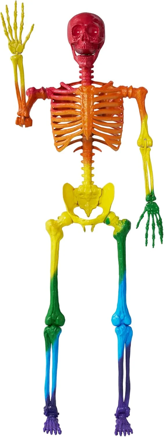 5.6 FT Halloween Posable Life Size Skeleton, Full Body Realistic Bones with Movable Joints, Giant Skeletons Halloween Decorations for Indoor Outdoor - Image 4