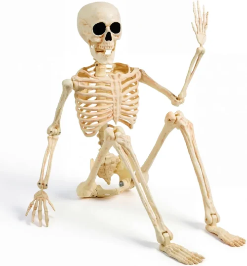 36 Halloween Skeleton Decor, 3FT Full Body Realistic Bones with Stayable Movable Joints, Posable Hanging Skeletons for Halloween Decoration, Yard
