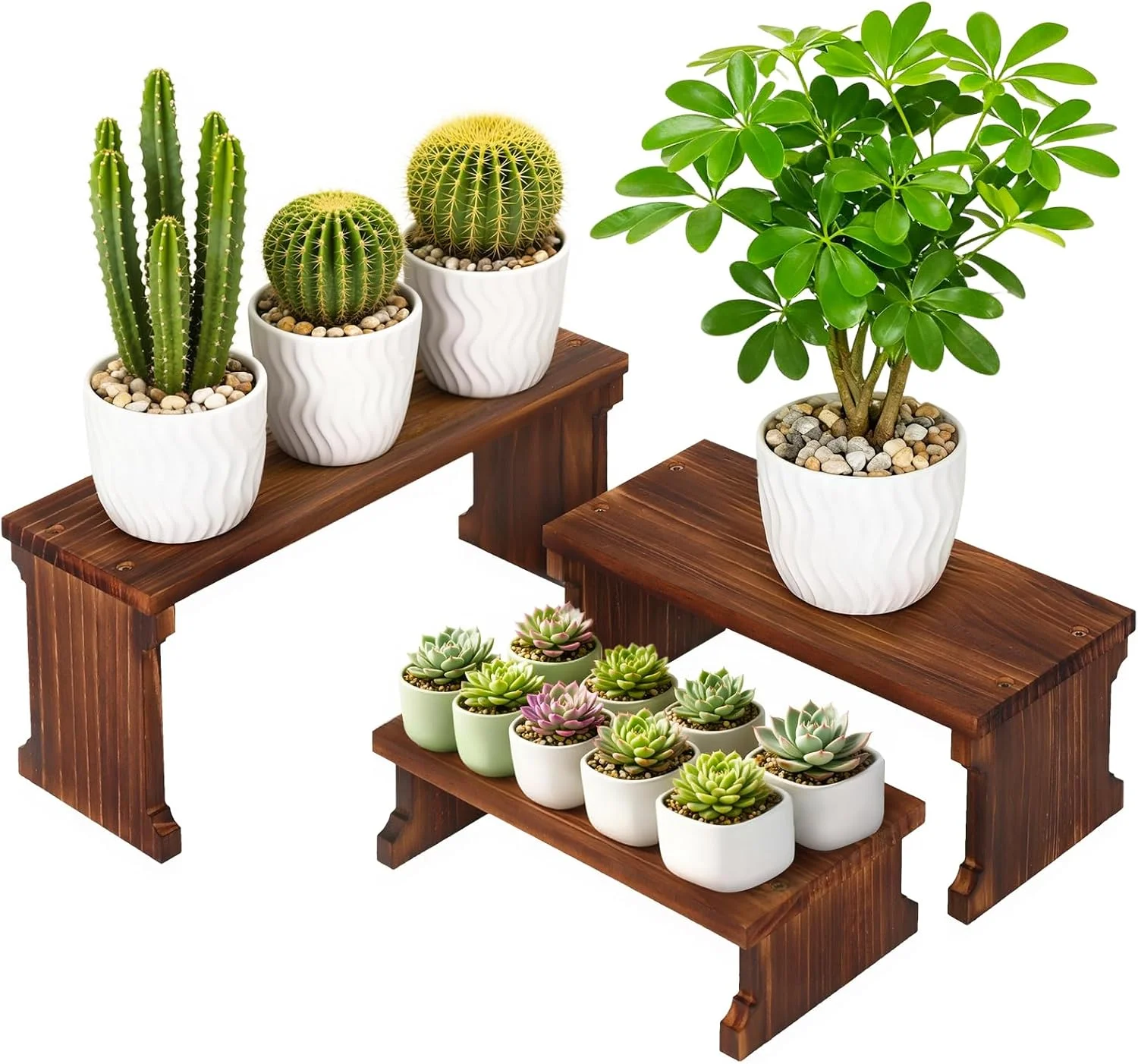Plant Stand Shelf for Desk Window Sill Countertop Succulent Stand - Image 2
