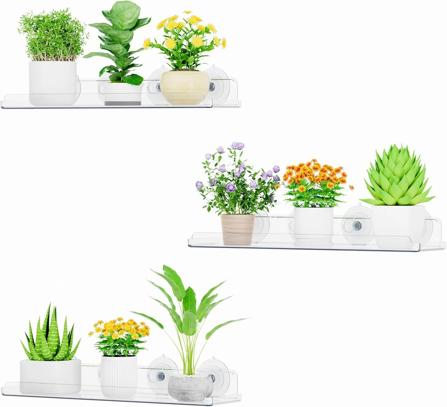 Window Plant Shelves 14.6, 2 Pack Acrylic Suction Cup Holder - Image 2