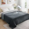 LOOBANI Waterproof Blanket for Bed, Soft Flannel Twin Bed Blanket 60 x 80