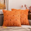 Fall Pumpkin Pillow Covers Fall Decor Beige Brown Stem 20x20