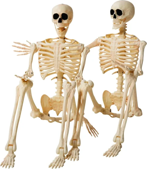 Alternative view of 36 Halloween Skeleton Decor, 3FT Full Body Realistic Bones with Stayable Movable Joints, Posable Hanging Skeletons for Halloween Decoration, Yard